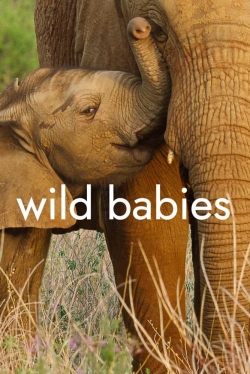 watch Wild Babies Movie online free in hd on Red Stitch