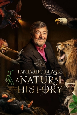 watch Fantastic Beasts: A Natural History Movie online free in hd on Red Stitch