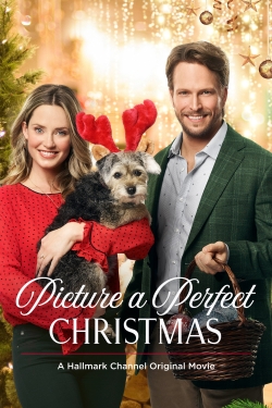 watch Picture a Perfect Christmas Movie online free in hd on Red Stitch