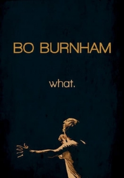 watch Bo Burnham: What. Movie online free in hd on Red Stitch