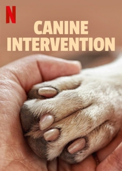 watch Canine Intervention Movie online free in hd on Red Stitch