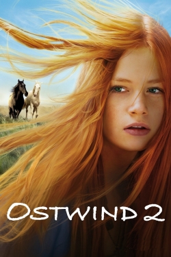 watch Windstorm 2 Movie online free in hd on Red Stitch