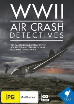 watch WWII Air Crash Detectives Movie online free in hd on Red Stitch