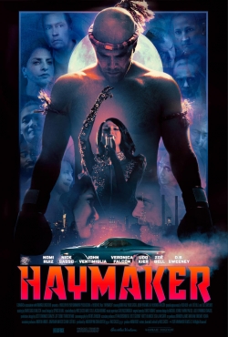 watch Haymaker Movie online free in hd on Red Stitch