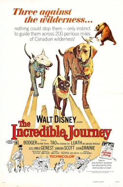 watch The Incredible Journey Movie online free in hd on Red Stitch