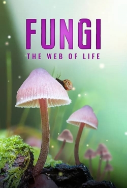 watch Fungi: The Web of Life Movie online free in hd on Red Stitch