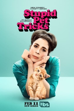 watch Stupid Pet Tricks Movie online free in hd on Red Stitch