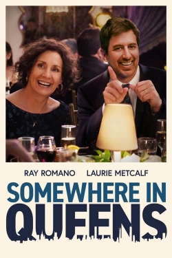 watch Somewhere in Queens Movie online free in hd on Red Stitch