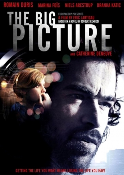 watch The Big Picture Movie online free in hd on Red Stitch