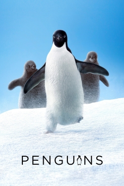 watch Penguins Movie online free in hd on Red Stitch