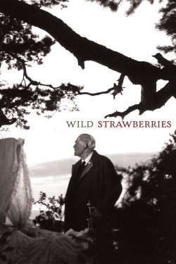 watch Wild Strawberries Movie online free in hd on Red Stitch