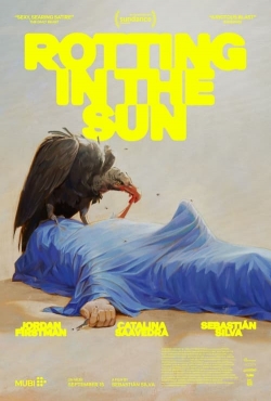 watch Rotting in the Sun Movie online free in hd on Red Stitch