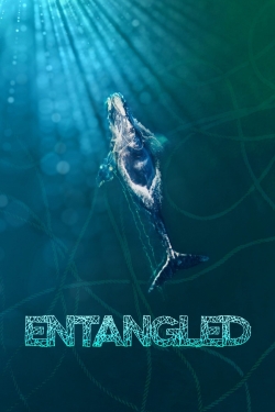 watch Entangled: The Race to Save Right Whales from Extinction Movie online free in hd on Red Stitch