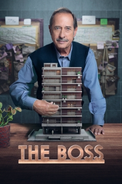 watch The Boss Movie online free in hd on Red Stitch