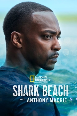 watch Shark Beach with Anthony Mackie Movie online free in hd on Red Stitch