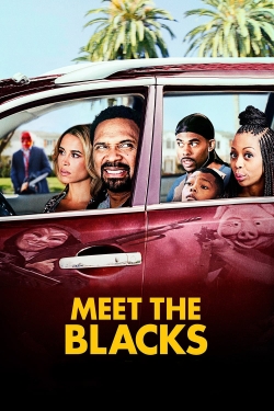 watch Meet the Blacks Movie online free in hd on Red Stitch