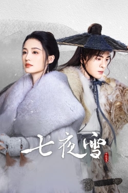 watch Snowy Night Timeless Love Movie online free in hd on Red Stitch