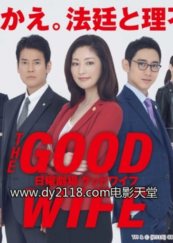 watch The Good Wife Movie online free in hd on Red Stitch