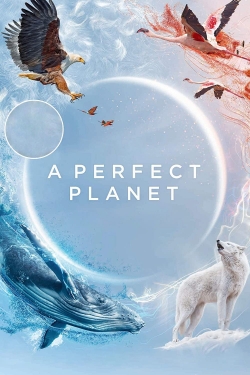 watch A Perfect Planet Movie online free in hd on Red Stitch