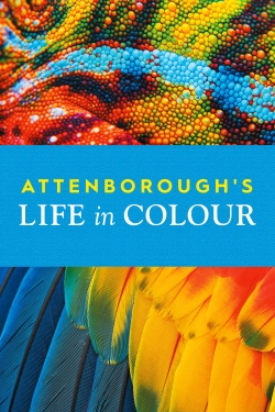 watch Attenborough's Life in Colour Movie online free in hd on Red Stitch