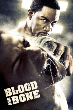 watch Blood and Bone Movie online free in hd on Red Stitch