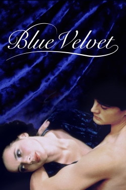 watch Blue Velvet Movie online free in hd on Red Stitch