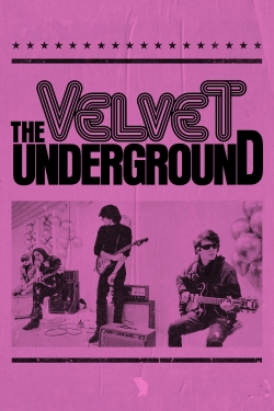 watch The Velvet Underground Movie online free in hd on Red Stitch