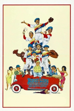 watch The Bingo Long Traveling All-Stars & Motor Kings Movie online free in hd on Red Stitch