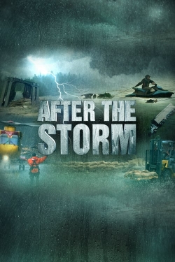 watch After the Storm Movie online free in hd on Red Stitch