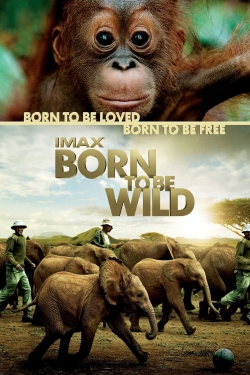 watch Born to Be Wild Movie online free in hd on Red Stitch