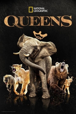 watch Queens Movie online free in hd on Red Stitch