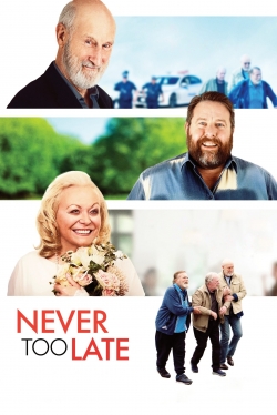 watch Never Too Late Movie online free in hd on Red Stitch