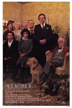 watch Moonstruck Movie online free in hd on Red Stitch