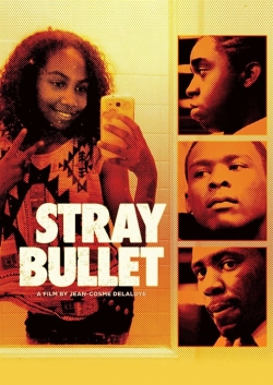 watch Stray Bullet Movie online free in hd on Red Stitch