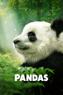 watch Pandas Movie online free in hd on Red Stitch