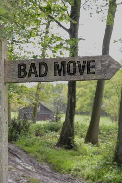 watch Bad Move Movie online free in hd on Red Stitch