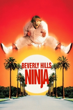 watch Beverly Hills Ninja Movie online free in hd on Red Stitch