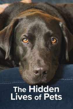 watch The Hidden Lives of Pets Movie online free in hd on Red Stitch