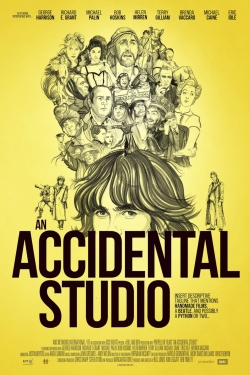 watch An Accidental Studio Movie online free in hd on Red Stitch