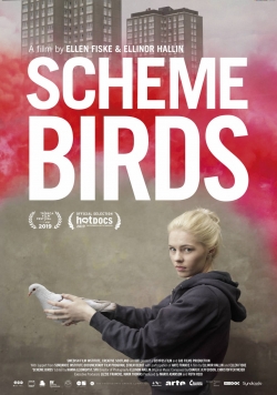 watch Scheme Birds Movie online free in hd on Red Stitch