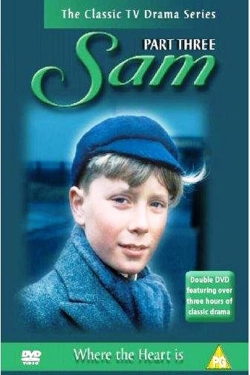 watch Sam Movie online free in hd on Red Stitch