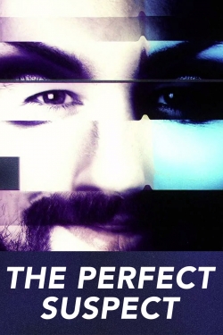 watch The Perfect Suspect Movie online free in hd on Red Stitch