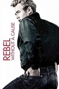 watch Rebel Without a Cause Movie online free in hd on Red Stitch