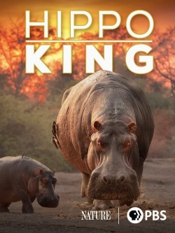 watch Hippo King Movie online free in hd on Red Stitch