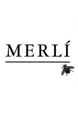 watch Merlí Movie online free in hd on Red Stitch