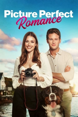 watch Picture Perfect Romance Movie online free in hd on Red Stitch