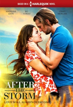 watch After the Storm Movie online free in hd on Red Stitch