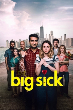 watch The Big Sick Movie online free in hd on Red Stitch