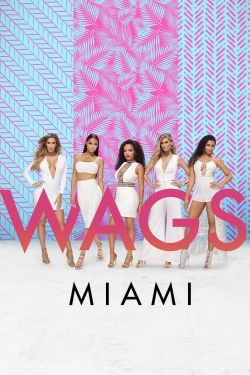 watch WAGS Miami Movie online free in hd on Red Stitch