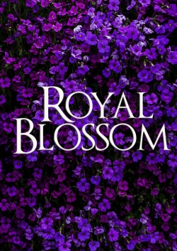 watch Royal Blossom Movie online free in hd on Red Stitch